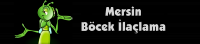 /album/mersinbocekilaclama/bocek-png/